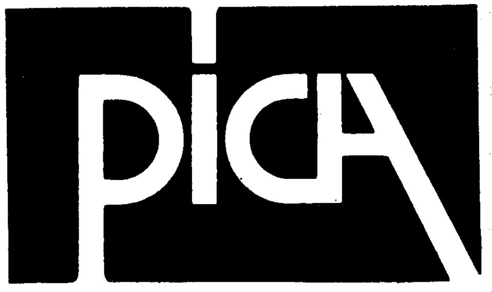 PICA RC Modellbaukästen